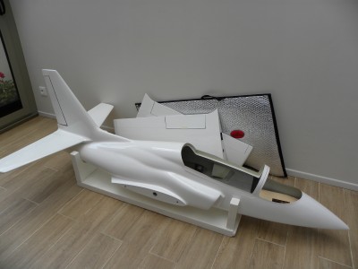 Viper 1.JPG