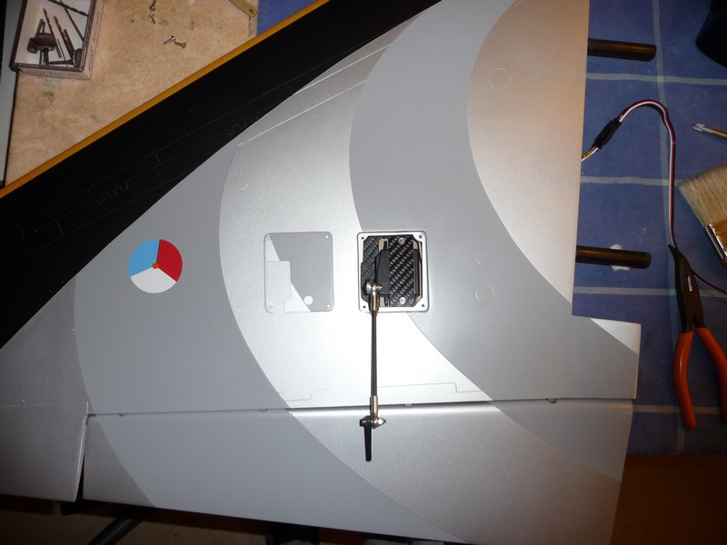P1040177R.jpg