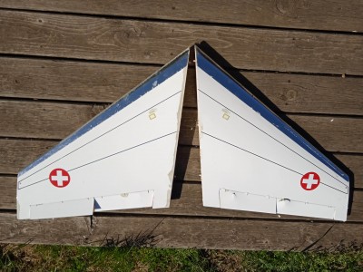 Ailes Wildhornet.jpg