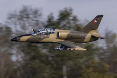 L-39 2.JPG