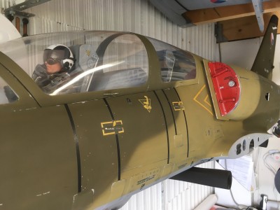 L-39 3.JPG