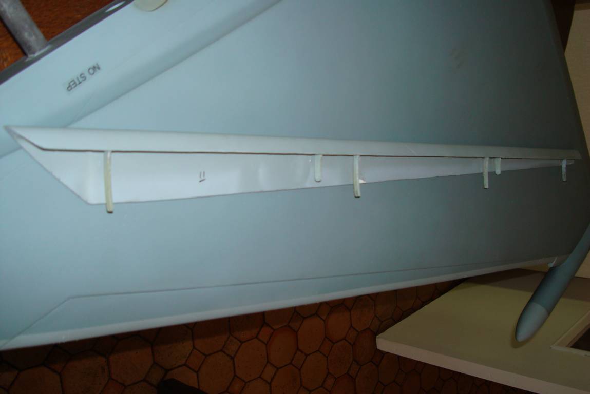 PXR_DSC01452.JPG