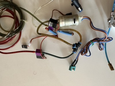 P6005.jpg