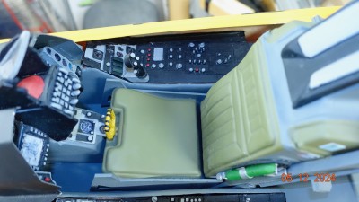 _DSC4218.jpeg