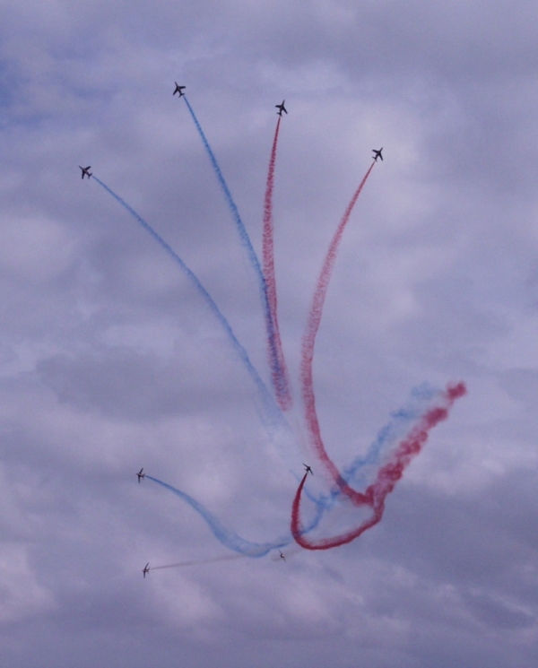 P2250141-ld.JPG