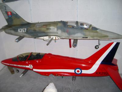 hawk2.jpg
