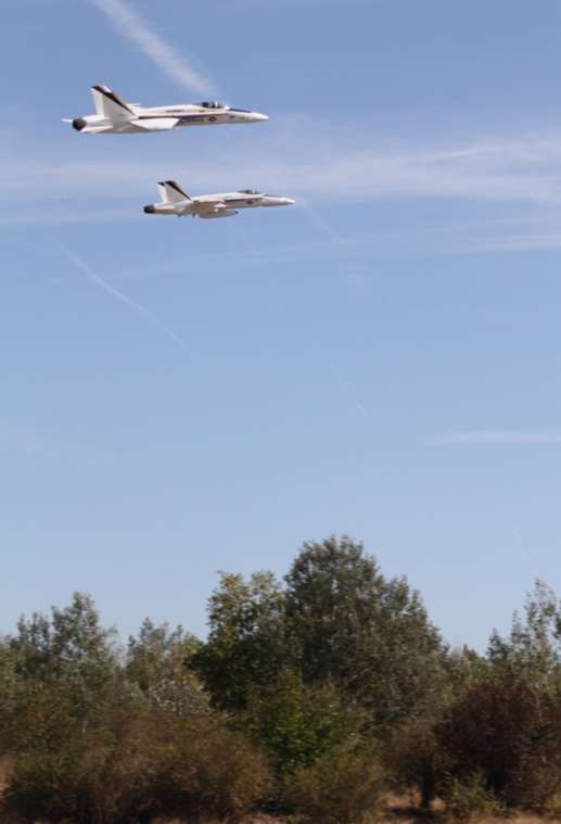 f18.jpg