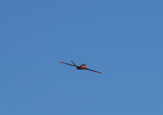 P1020201.jpg