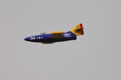 DSC_9515_redimensionner.JPG