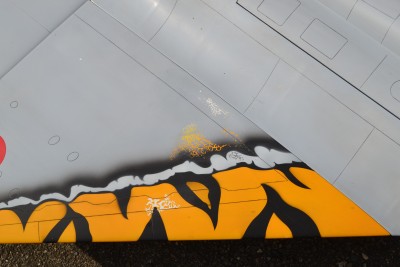 DSC_0637 copie.jpg