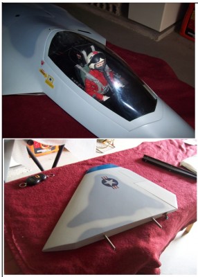 F22 MAD1.jpg