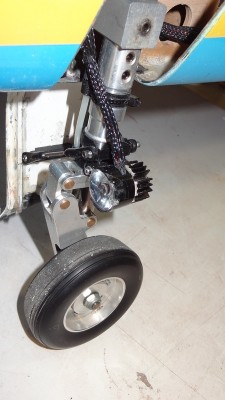 rDSC04503.JPG