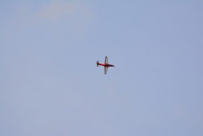 IMG_5290.JPG