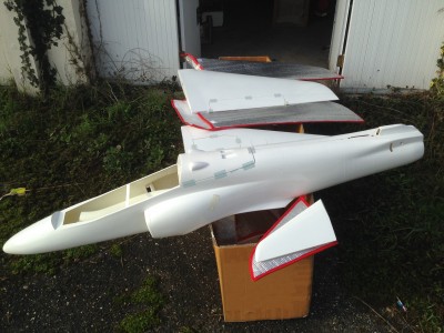 hawk1.jpg