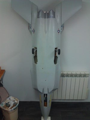 IMAG1236.jpg