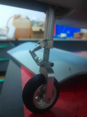 IMAG1229.jpg